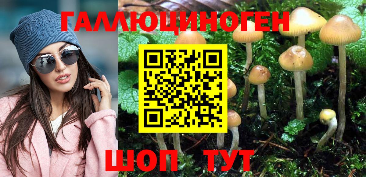 Пенза  Галлюциногенные грибы MAGIC MUSHROOMS  Вход с VPN 