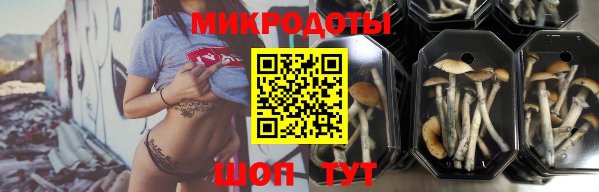 Галлюциногенные грибы прущие грибы Пенза
