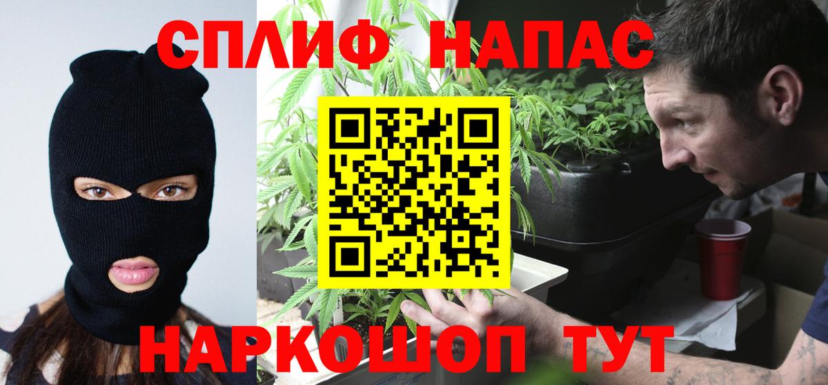 МАРИХУАНА Amnesia  Бошки марихуана план  Вход с VPN  Шишки марихуана White Widow  Пенза 